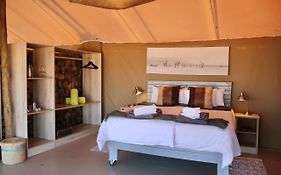 Elegant Desert Camp